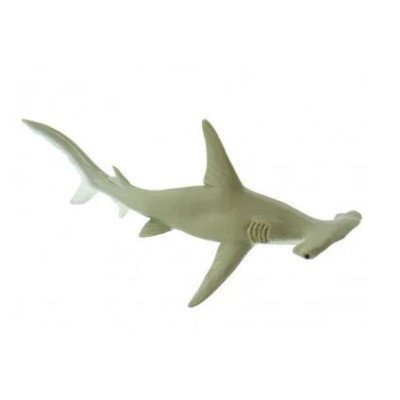Requin marteaux