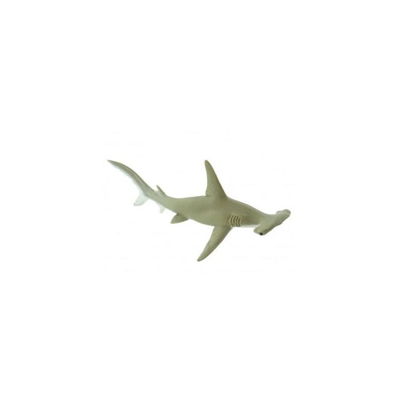 Requin marteaux