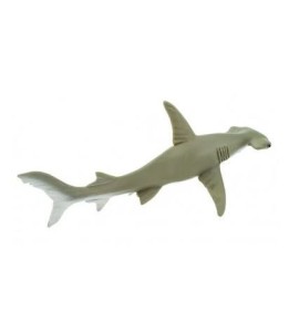 Requin marteaux