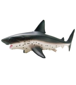 Requin Saumon