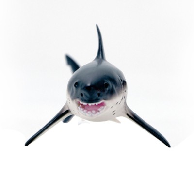 Requin Saumon