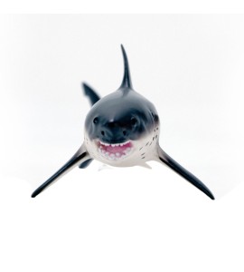 Requin Saumon