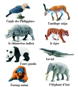 Tube animaux d'Asie