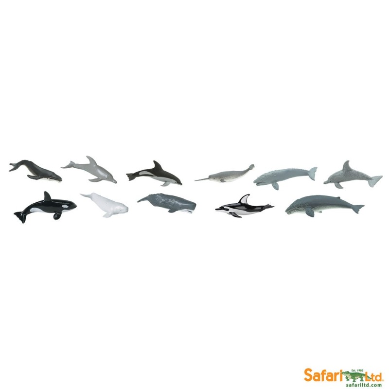 Tube baleines et dauphins