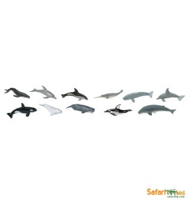 Tube baleines et dauphins
