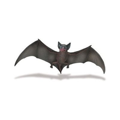 Chauve-souris