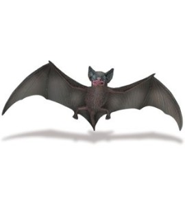 Chauve-souris