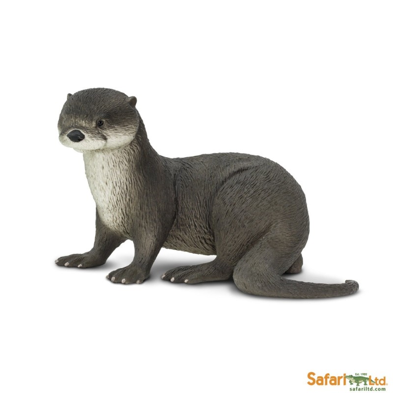 Loutre