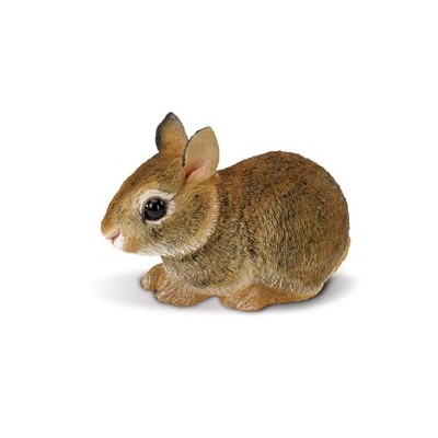 Lapin bébé