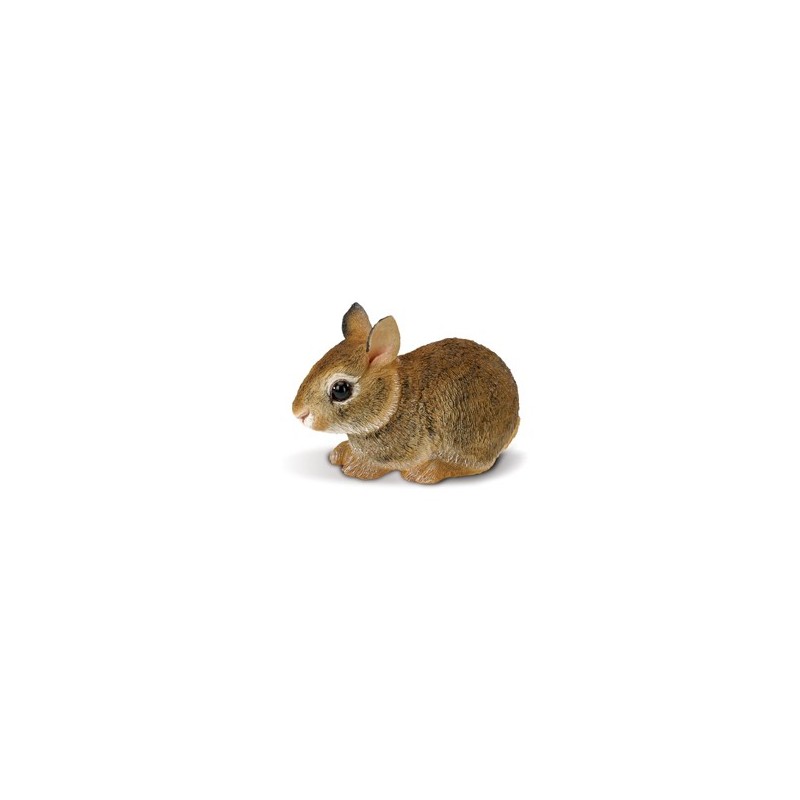 Lapin bébé