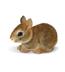 Lapin bébé