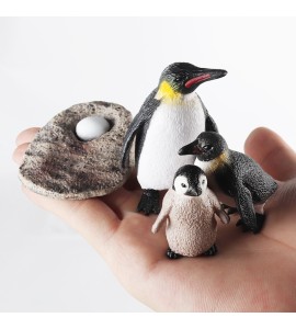 Cycle de vie du pingouin
