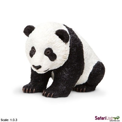 Panda bébé