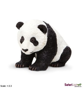 Panda bébé