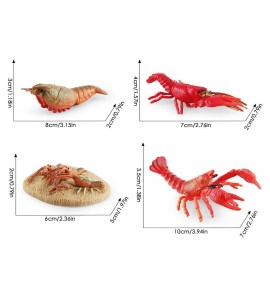 Cycle de vie du homard