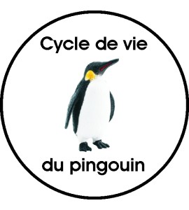 Cycle de vie universel