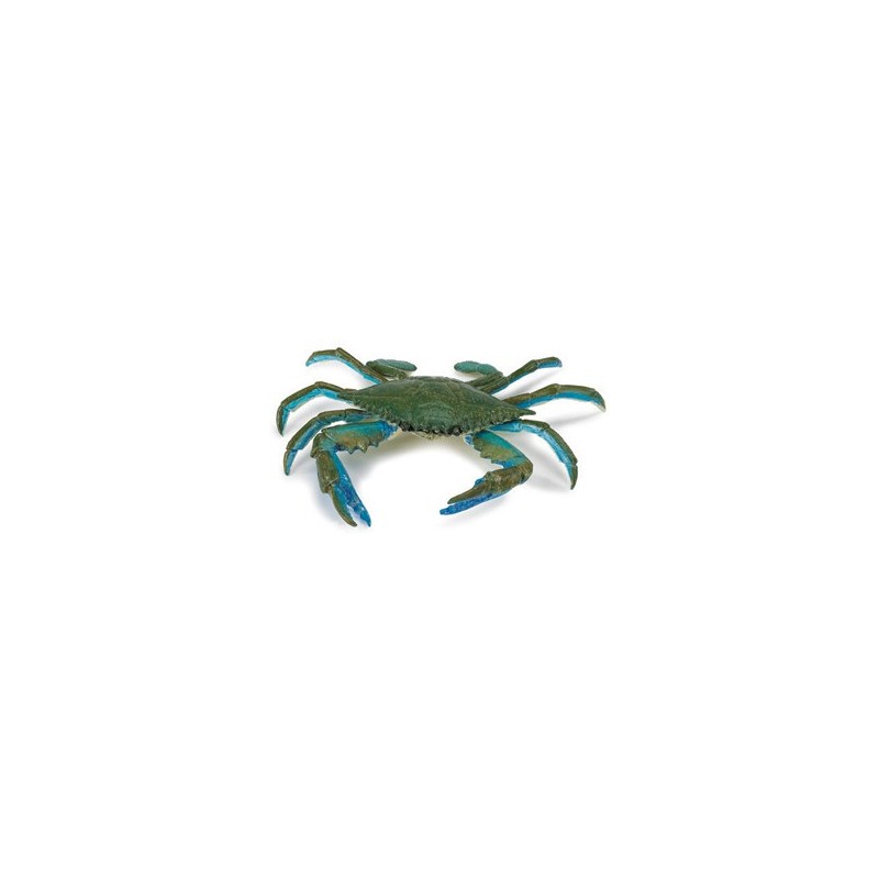 Crabe bleu