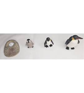 Cycle de vie du pingouin - plateau + figurines