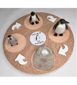 Cycle de vie du pingouin - plateau + figurines