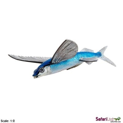 Poisson volant