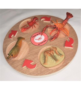 Cycle de vie du homard - plateau + figurines