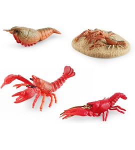 Cycle de vie du homard - plateau + figurines