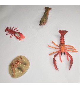 Cycle de vie du homard - plateau + figurines