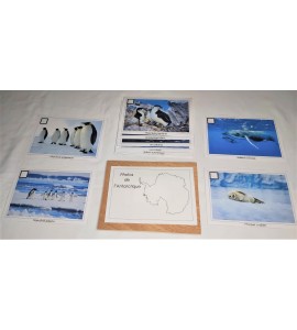 Photos de l'Antarctique