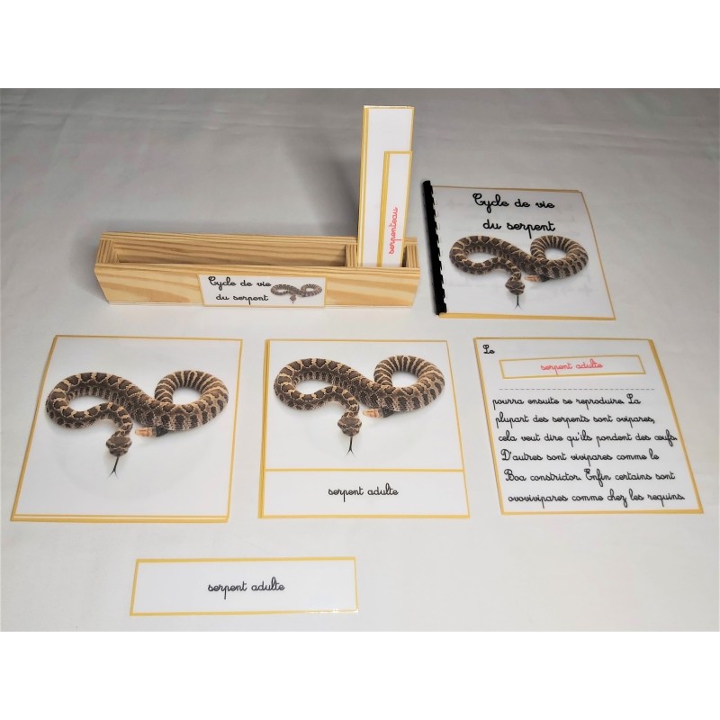 Nomenclature du cycle de vie du serpent