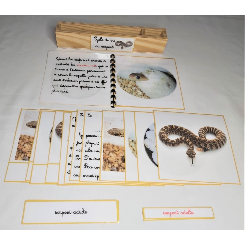 Nomenclature du cycle de vie du serpent
