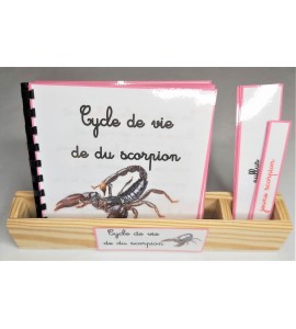 Nomenclature du cycle de vie du scorpion
