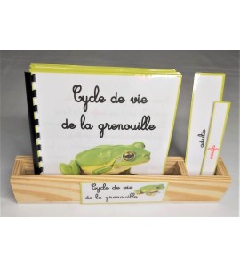 Nomenclature du cycle de vie de la grenouille