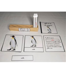 Nomenclature du cycle de vie du pingouin