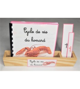 Nomenclature du cycle de vie du homard