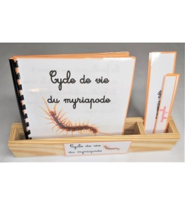 Nomenclature du cycle de vie du myriapode