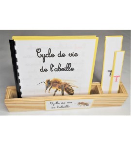 Nomenclature du cycle de vie de l'abeille