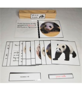 Nomenclature du cycle de vie du panda