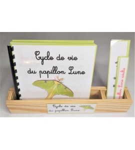 Nomenclature du cycle de vie du papillon Lune