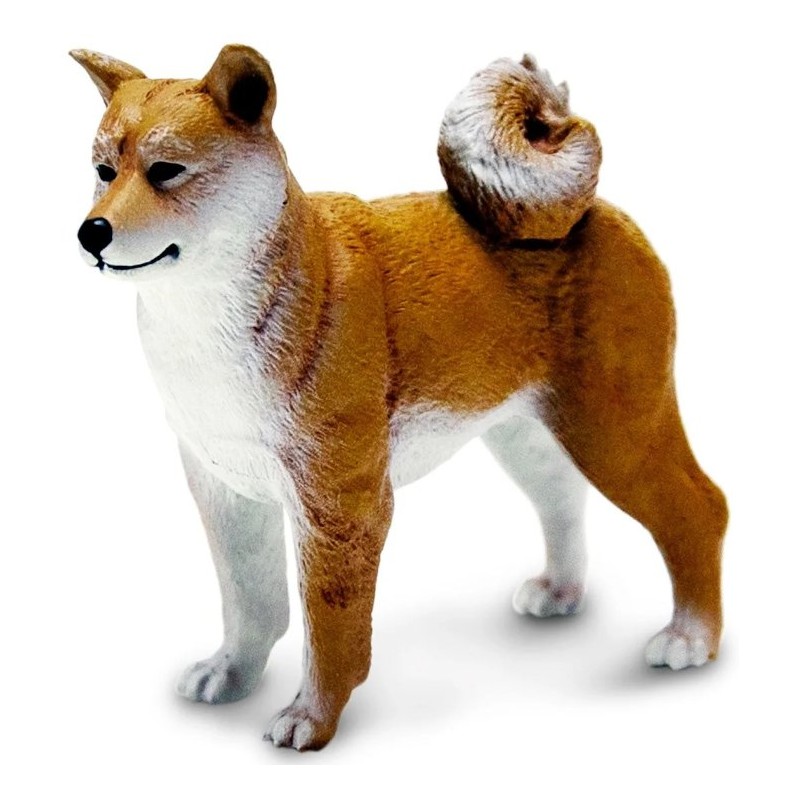 Shiba Inu