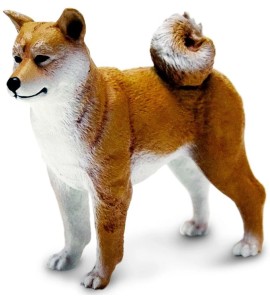 Shiba Inu