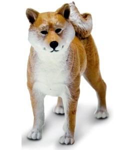 Shiba Inu