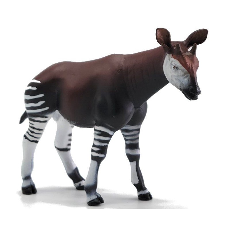 Okapi