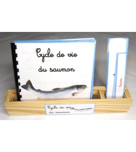 Nomenclature du cycle de vie du saumon