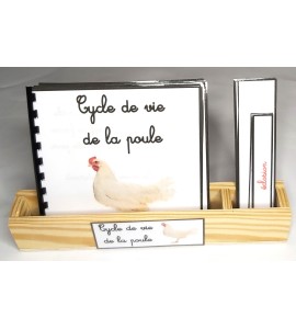 Nomenclature du cycle de vie de la poule