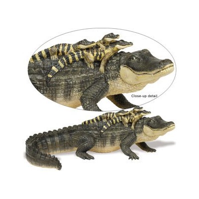 Alligator et ses petits