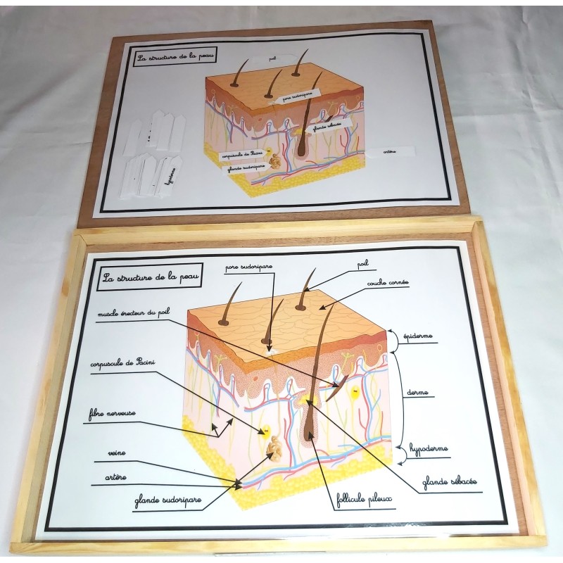 copy of plateau système...