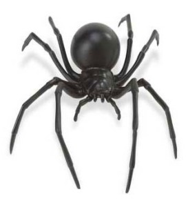 Araignée veuve noire
