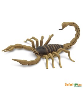 Scorpion