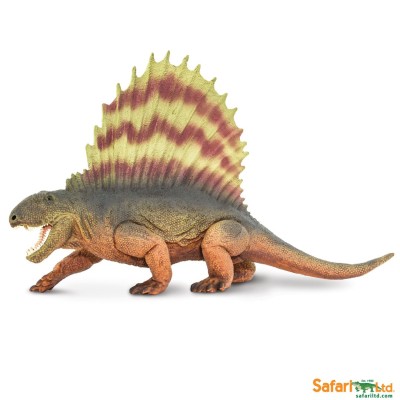 Dimetrodon