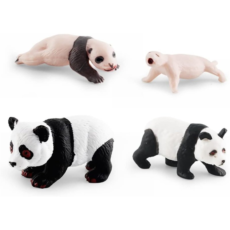 Cycle de vie du panda